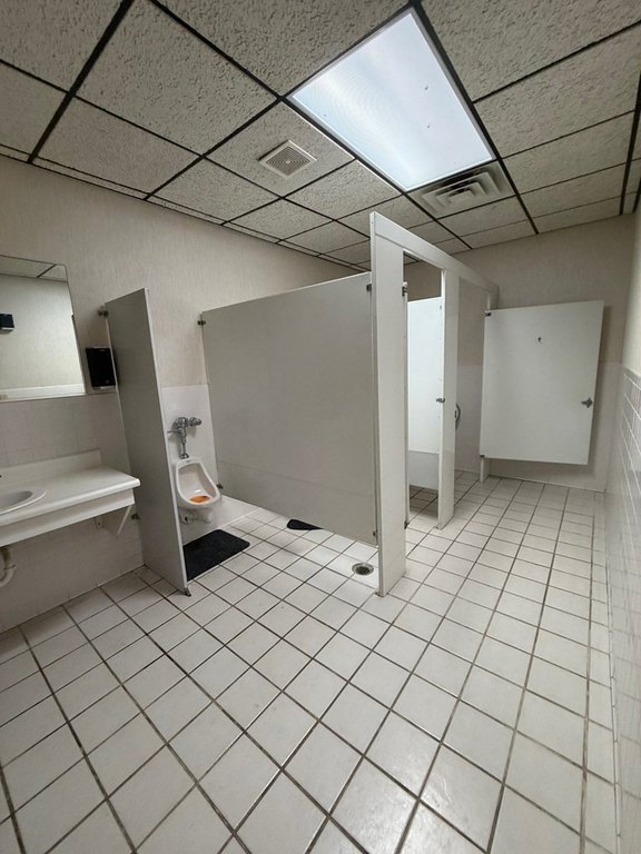 Picture 16