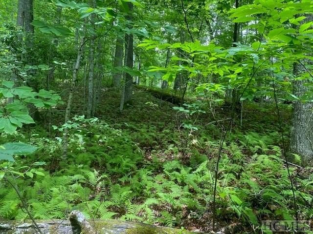 Tranquil 4-Acre Lot in Tuckasegee