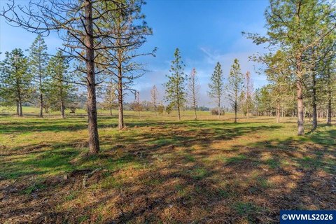 Agricultural Land With Seasonal Creek