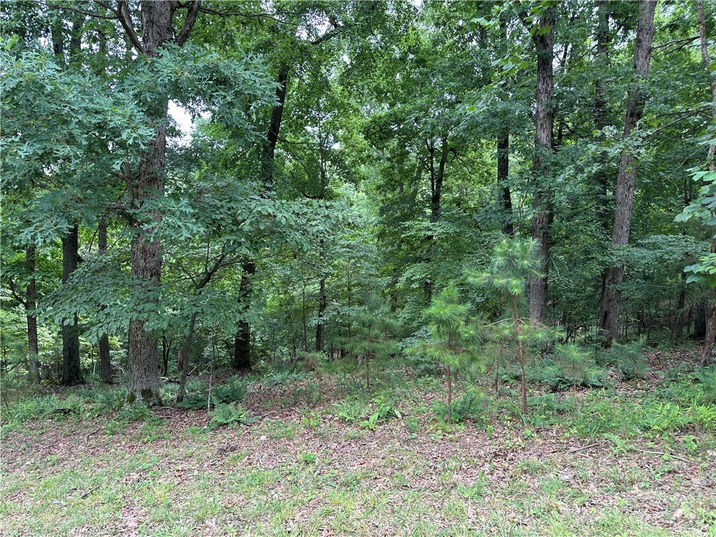 Picture 16