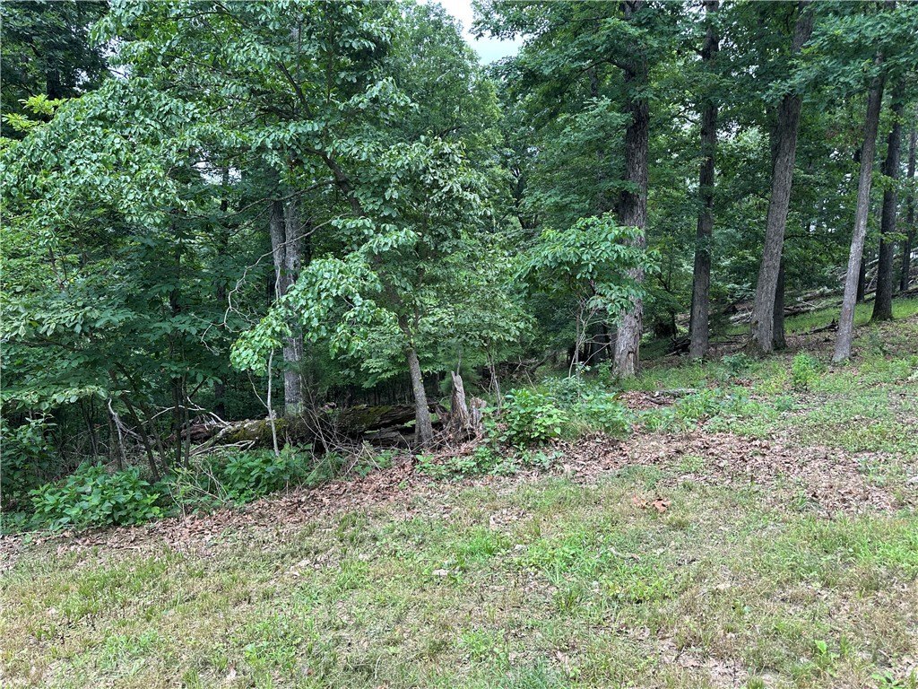 Picture 11