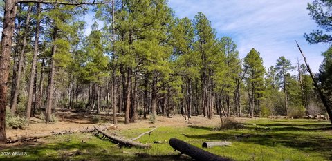 Land, Lakeside, AZ
