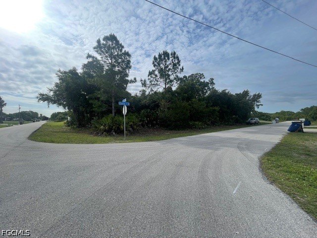 Picture 3