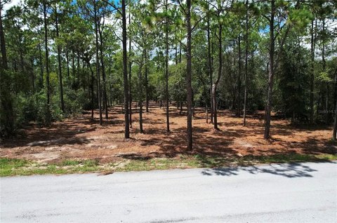 Land, DUNNELLON, FL