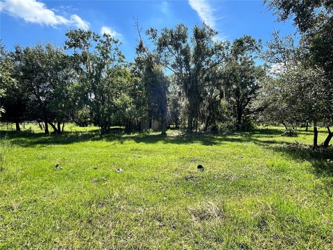 10+ Acres in Seffner, Florida