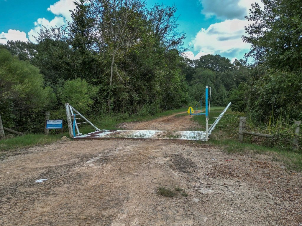 Picture 5