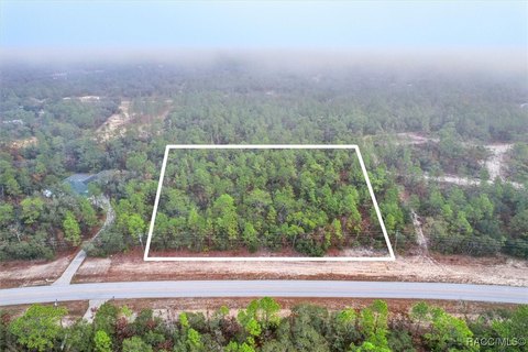 LAND - Beverly Hills, FL