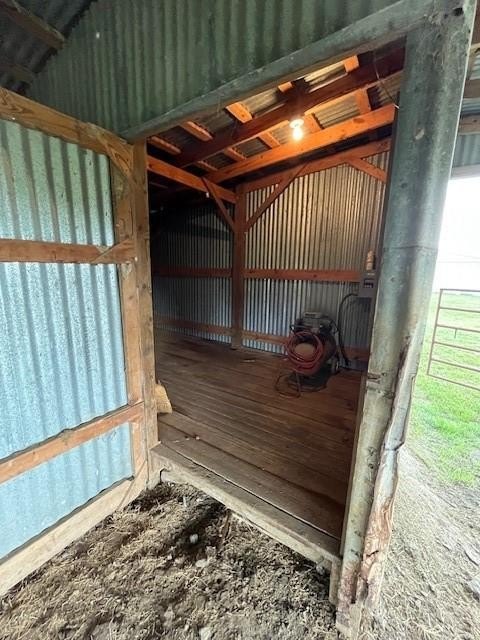 Picture 12