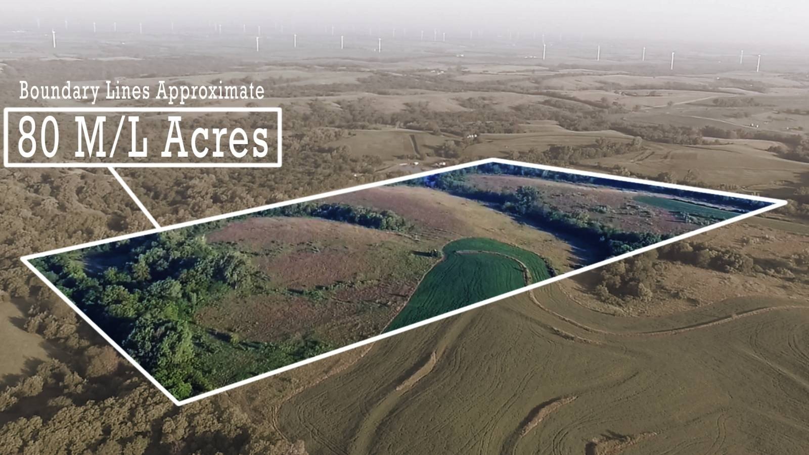 Secluded Hunting Land with CRP