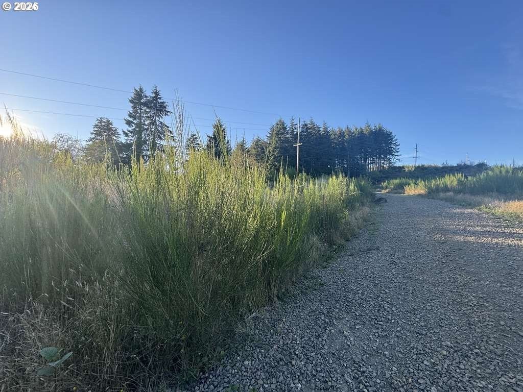 Lincoln City Hillside Land Parcel