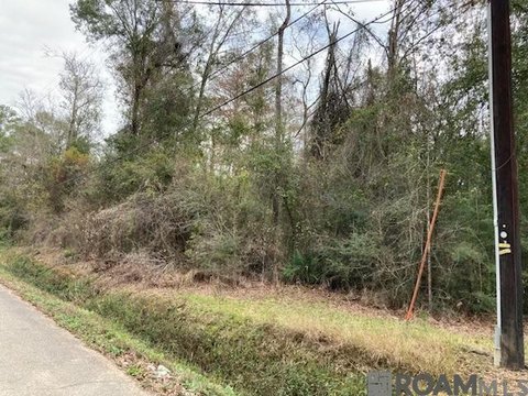 Residential Land in Denham Springs