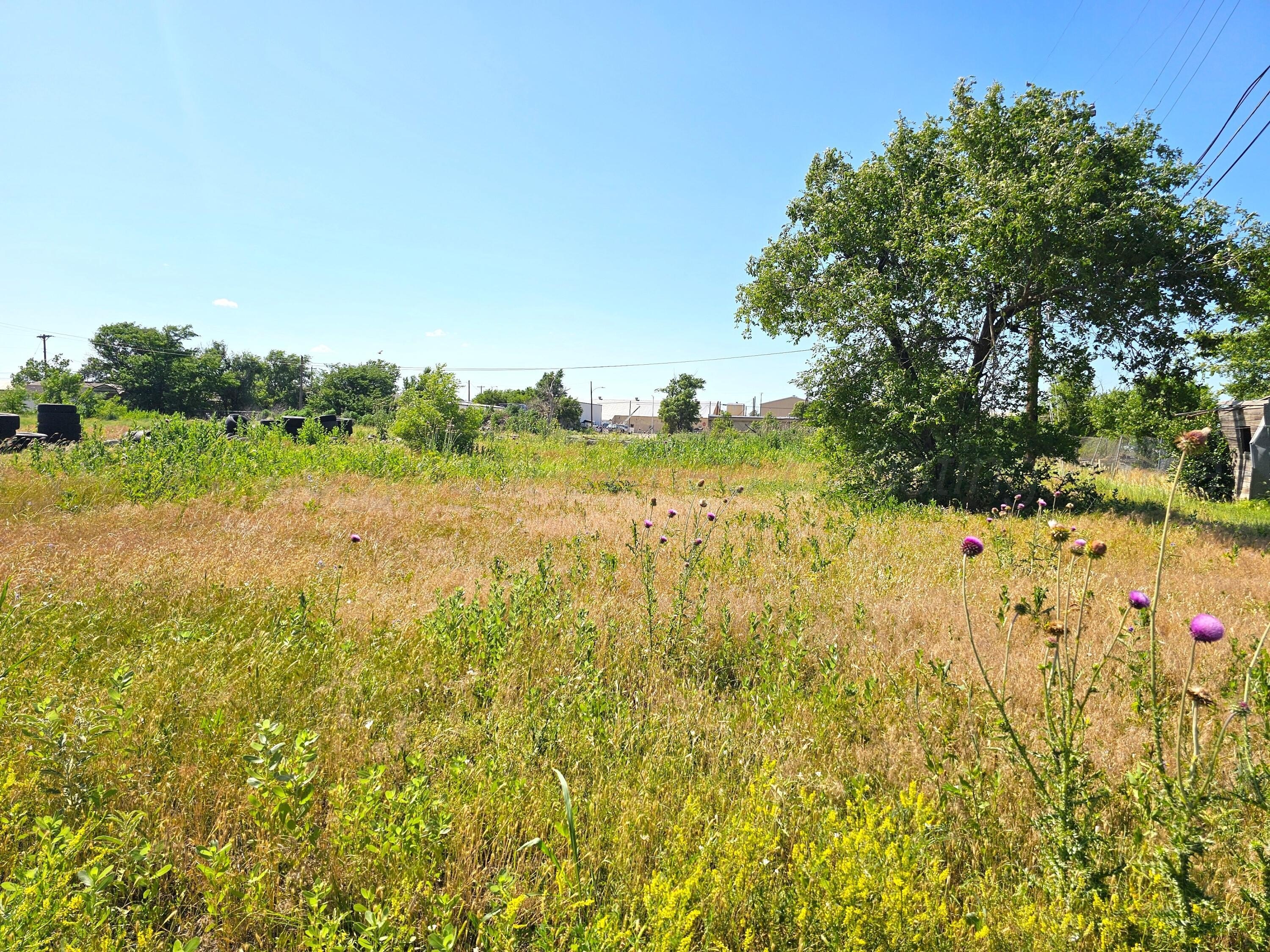 Land for Sale in Pampa