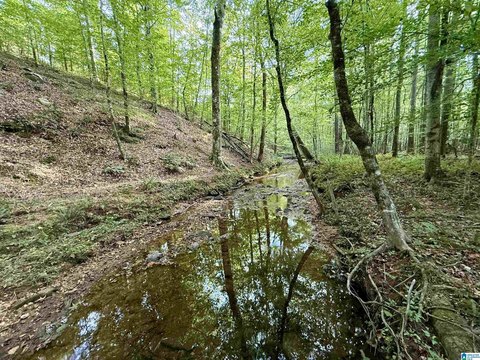 Unrestricted Land in Clay County