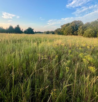 Recreational Land with Spring-Fed Pond