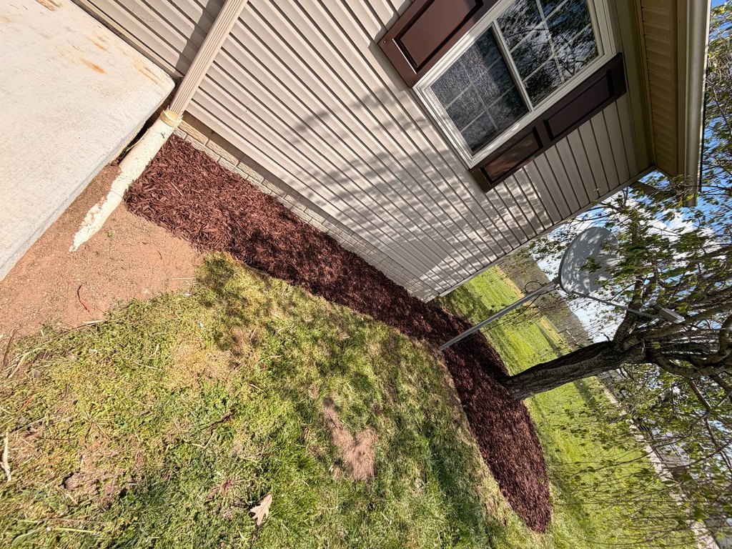 Picture 22
