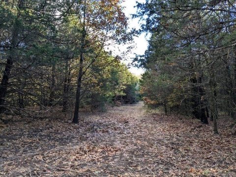 LAND - Prairie Grove, AR