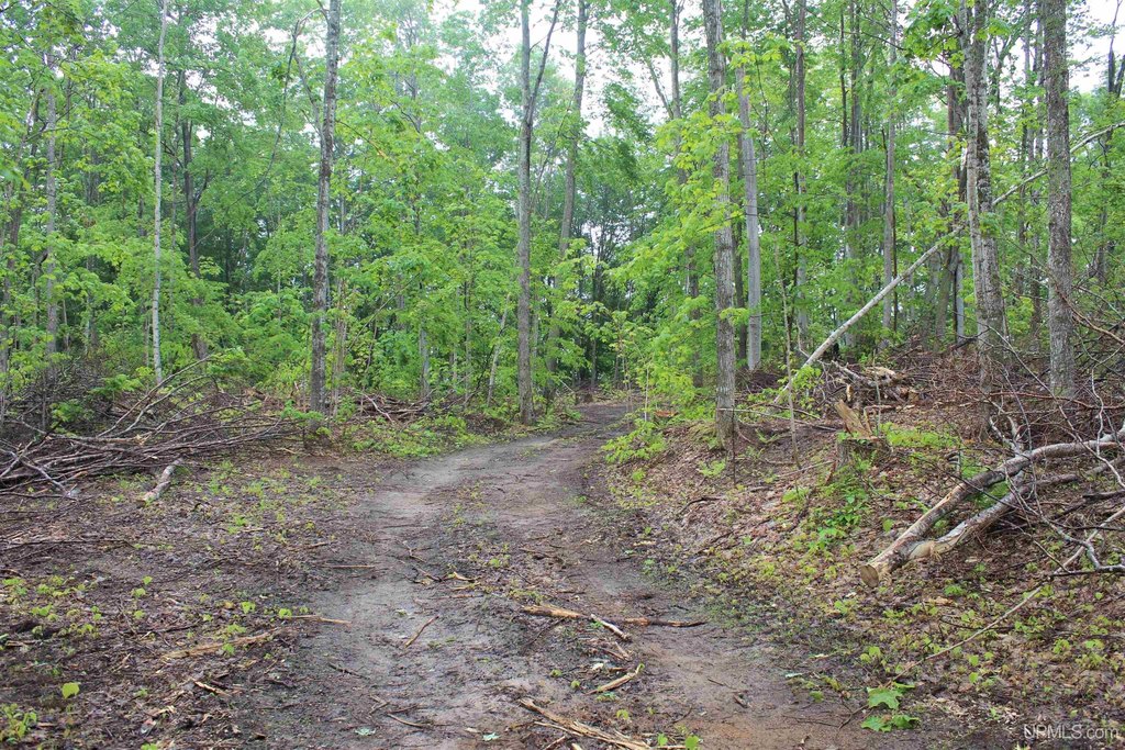 Picture 9