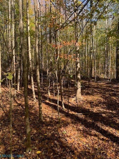 Gloucester Land with Hardwood Forest