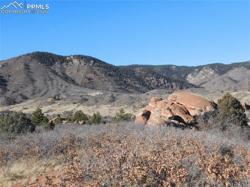 Larkspur Land with Mountain Views