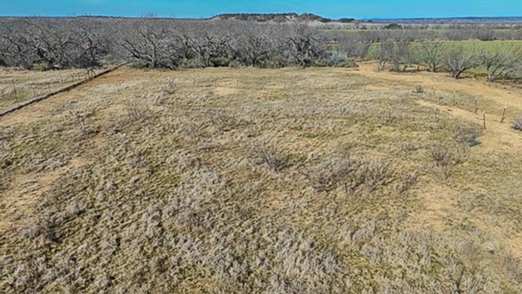 Picture 10