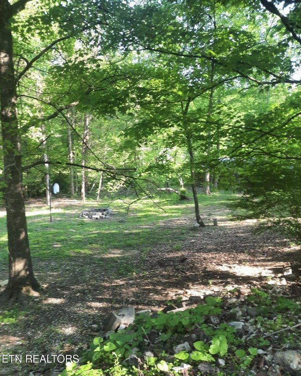 Picture 3