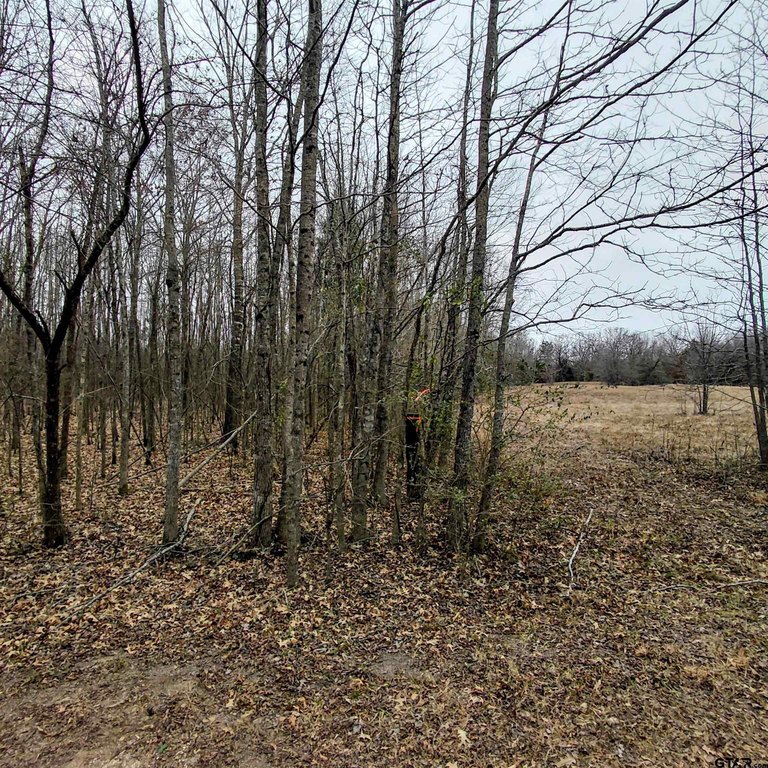 Picture 7