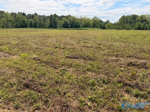 LAND - Piedmont, AL