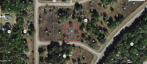 LAND - DUNNELLON, FL