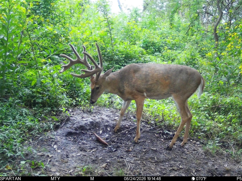 Picture 2