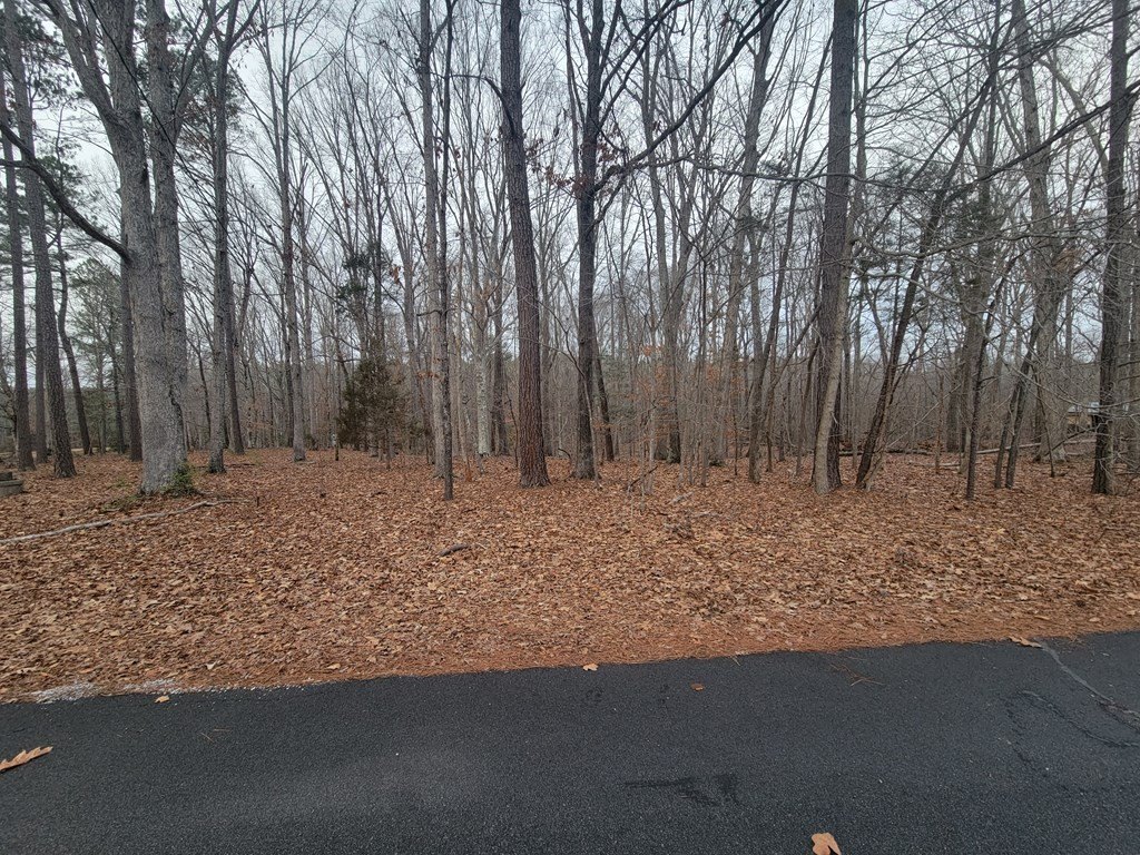Picture 2