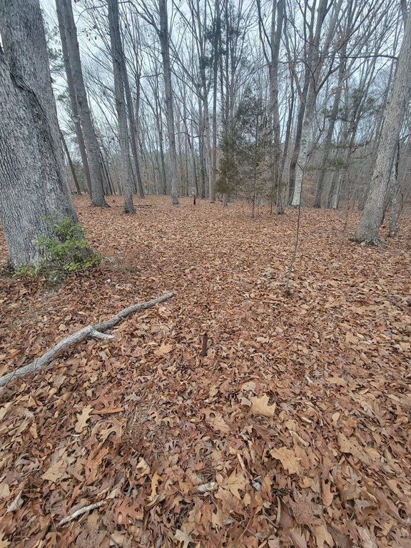 Picture 13