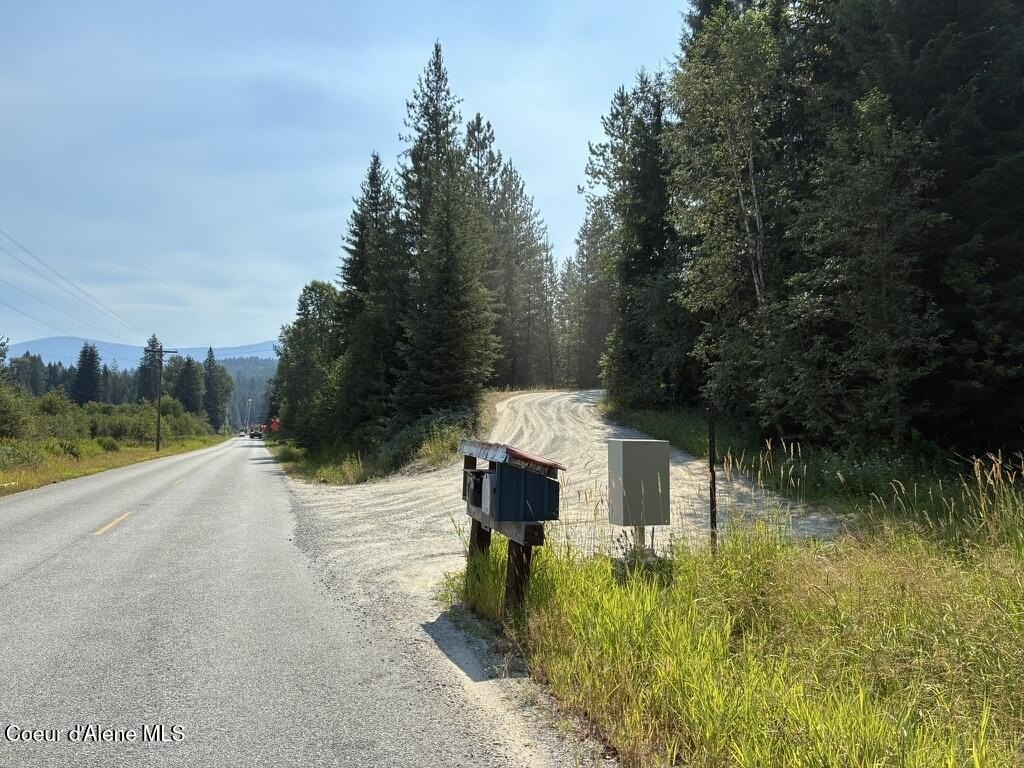 Picture 5