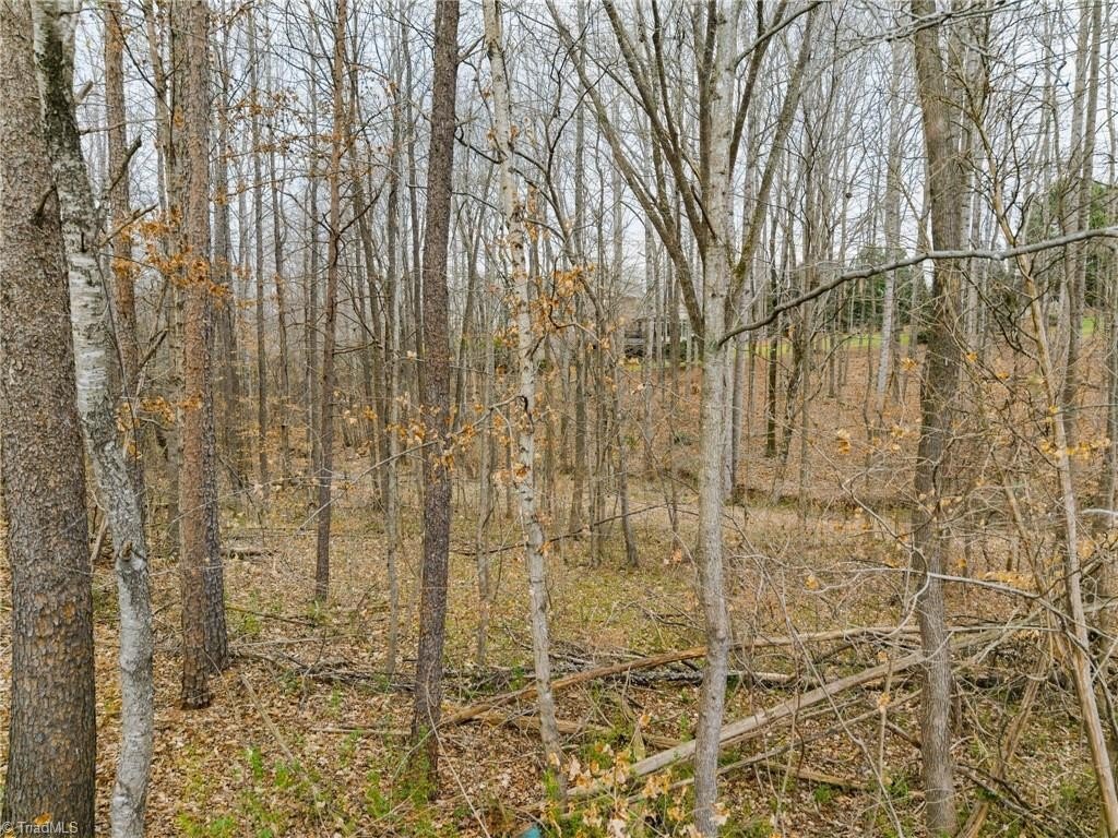 Picture 22