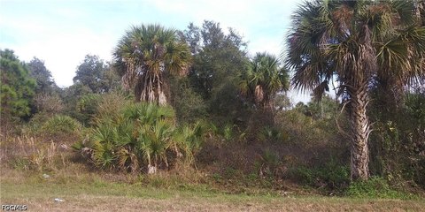 LAND - Naples, FL