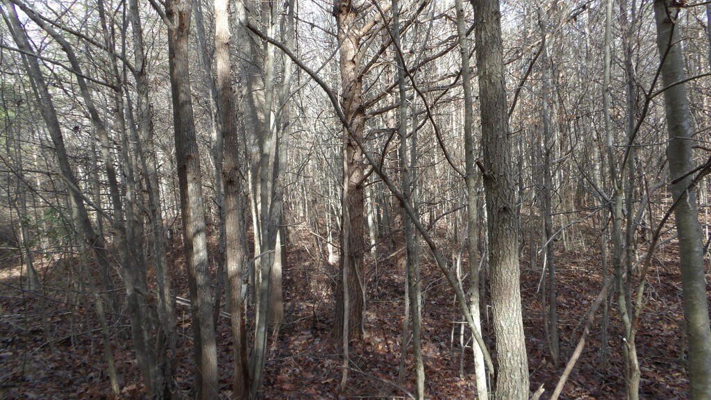 Picture 13