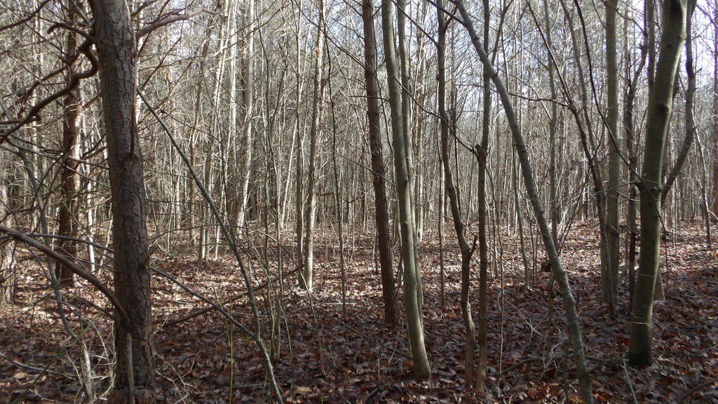 Picture 14