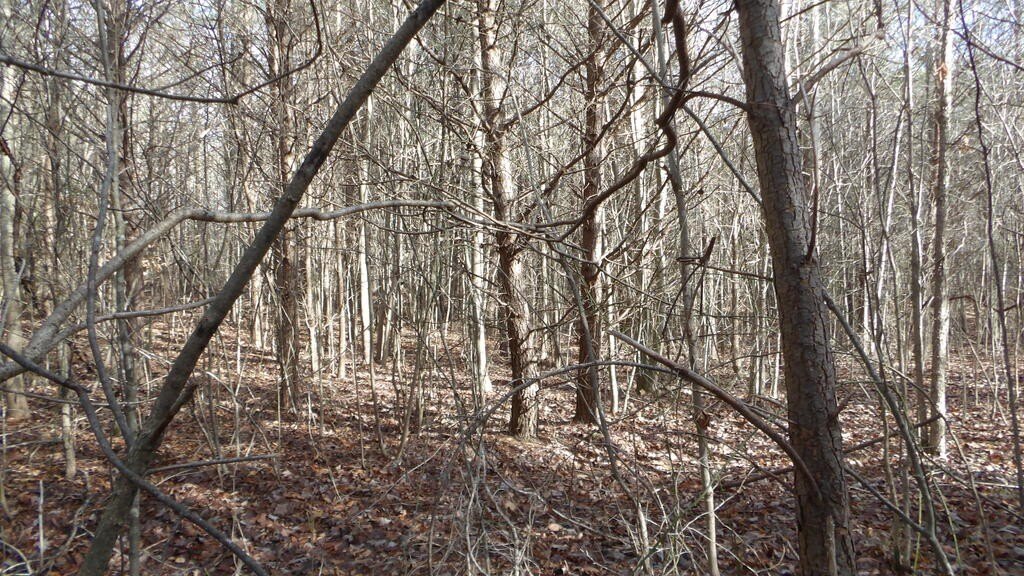 Picture 15