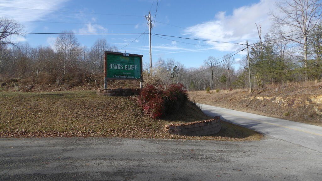 Picture 31