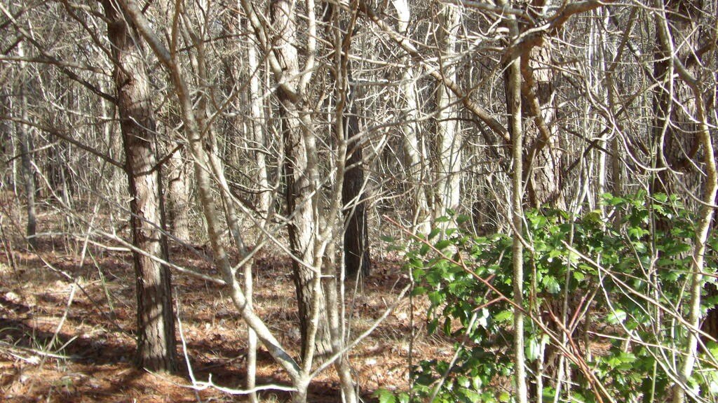 Picture 17
