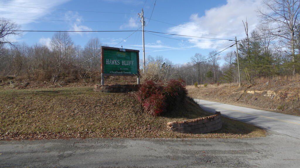 Picture 30
