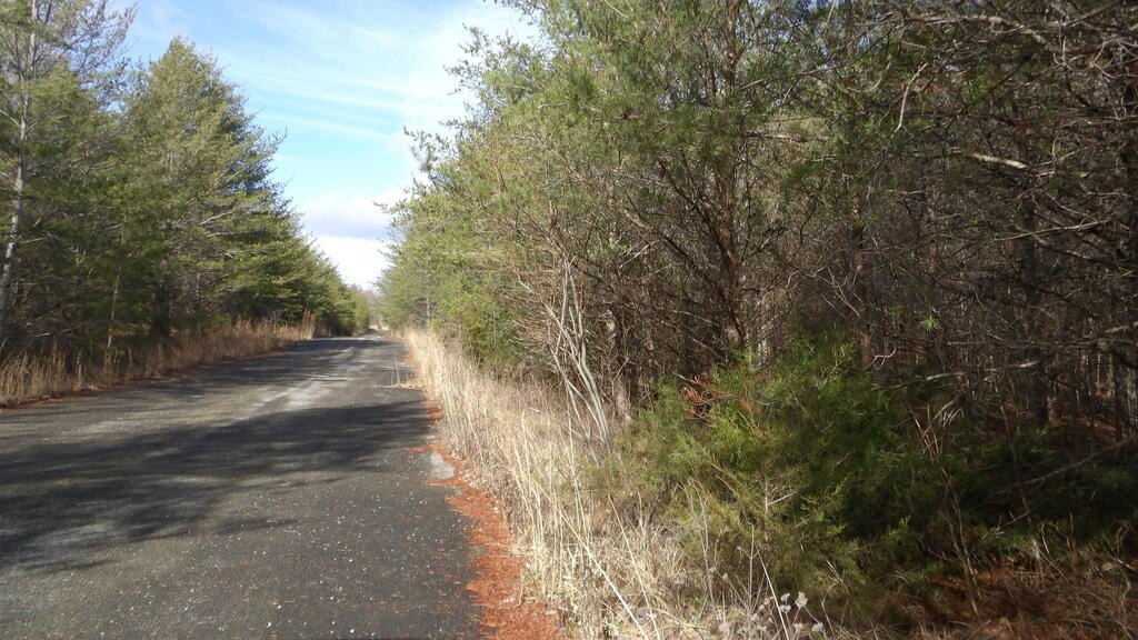Picture 9