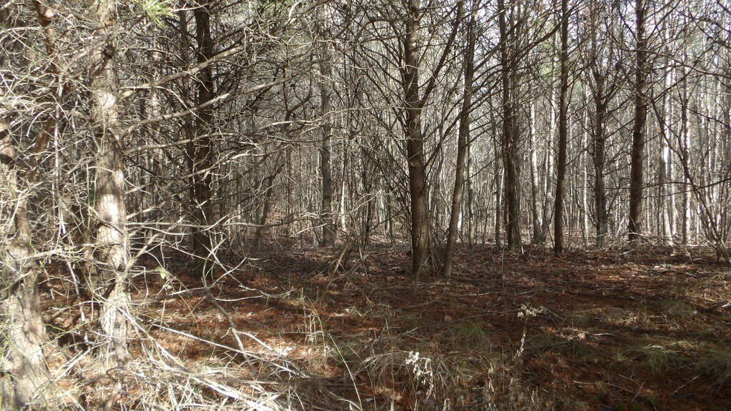 Picture 7