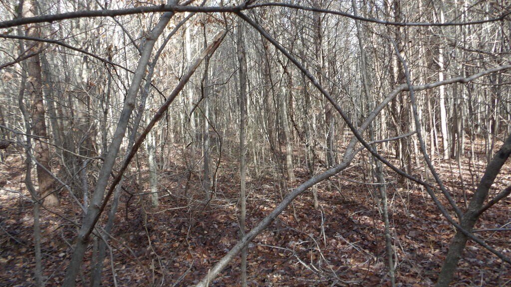 Picture 16