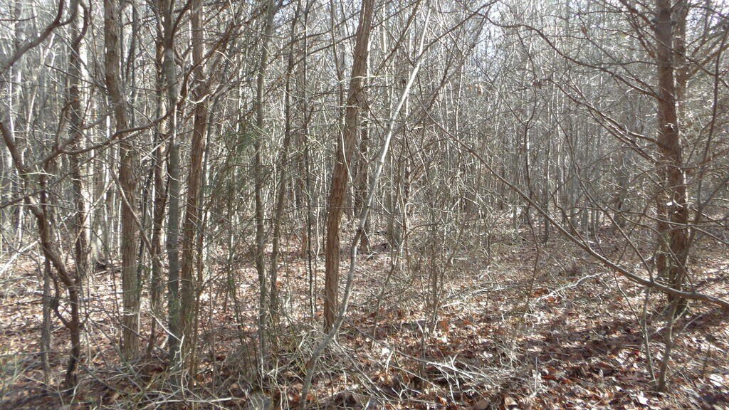 Picture 24