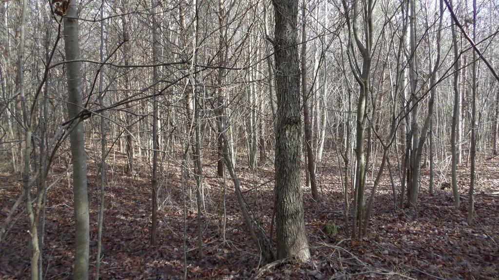 Picture 11
