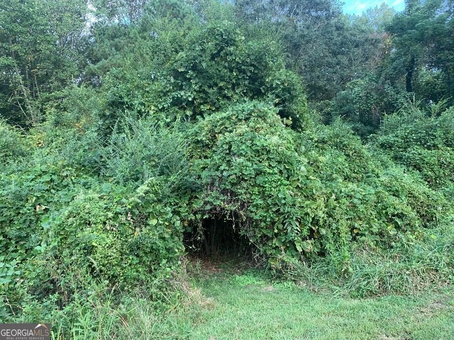 Picture 4