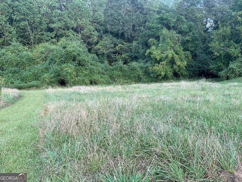 Picture 3