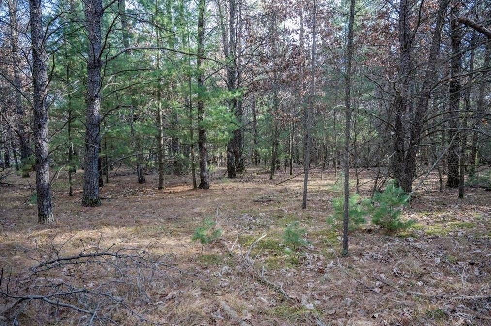 Vacant Lot Near Castle Rock Lake