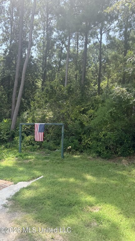 Picture 4