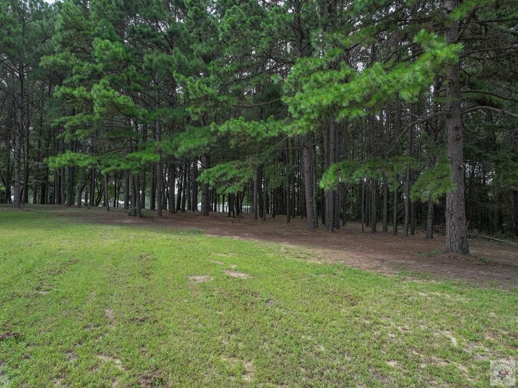 Picture 24